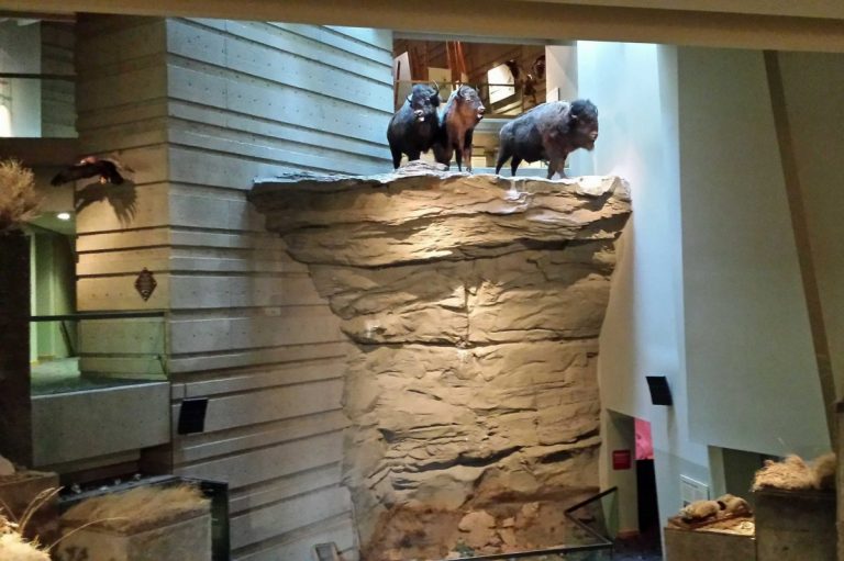 What is the Head-Smashed-In Buffalo Jump